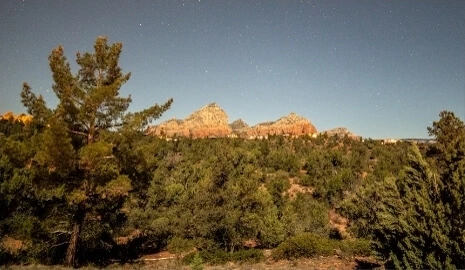 Towering Arizona red rocks in the background, framed by trees in the foreground.