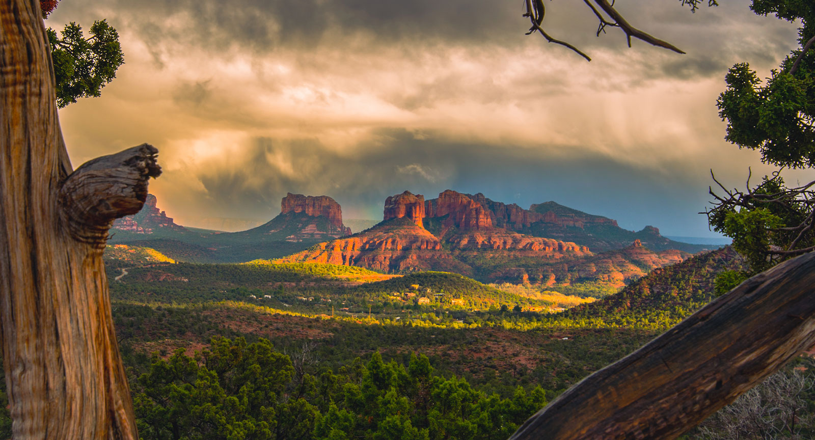 Ambiente Sedona - A Landscape Hotel — photo 5