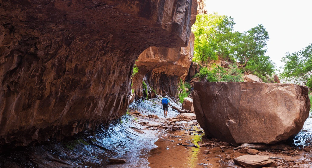 Man walking through the West Fork Trail in Sedona