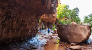 Man walking through the West Fork Trail in Sedona