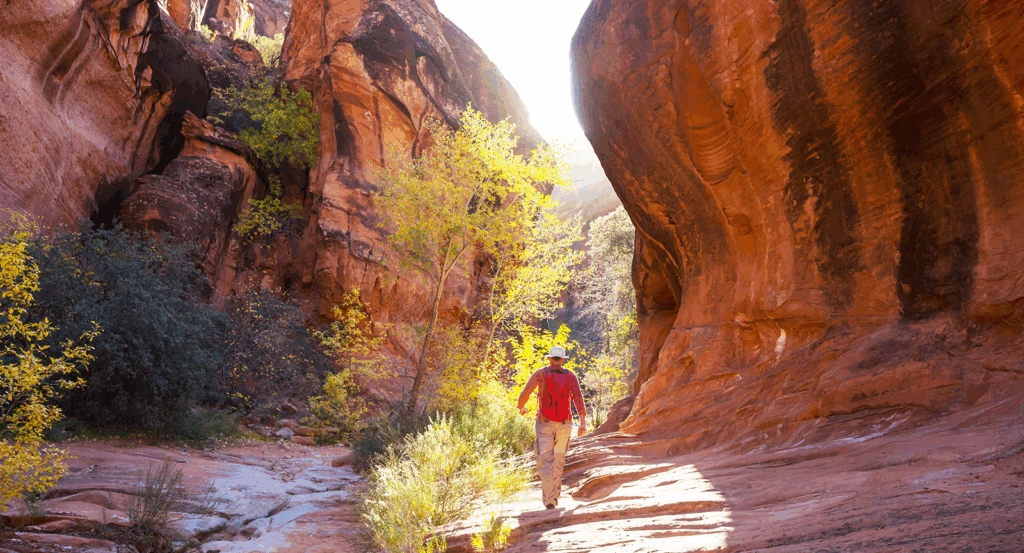 A man hiking Oak Creek Canyon Sedona.