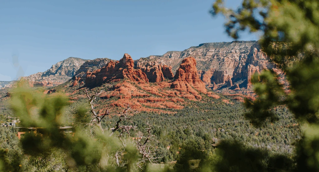 View of the red rocks in Sedona through the trees on a hike