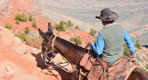 Horseback riding Sedona amongst the red rock landscape.