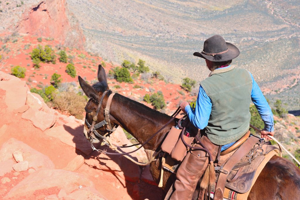 A man on horseback in the Sedona red rocks