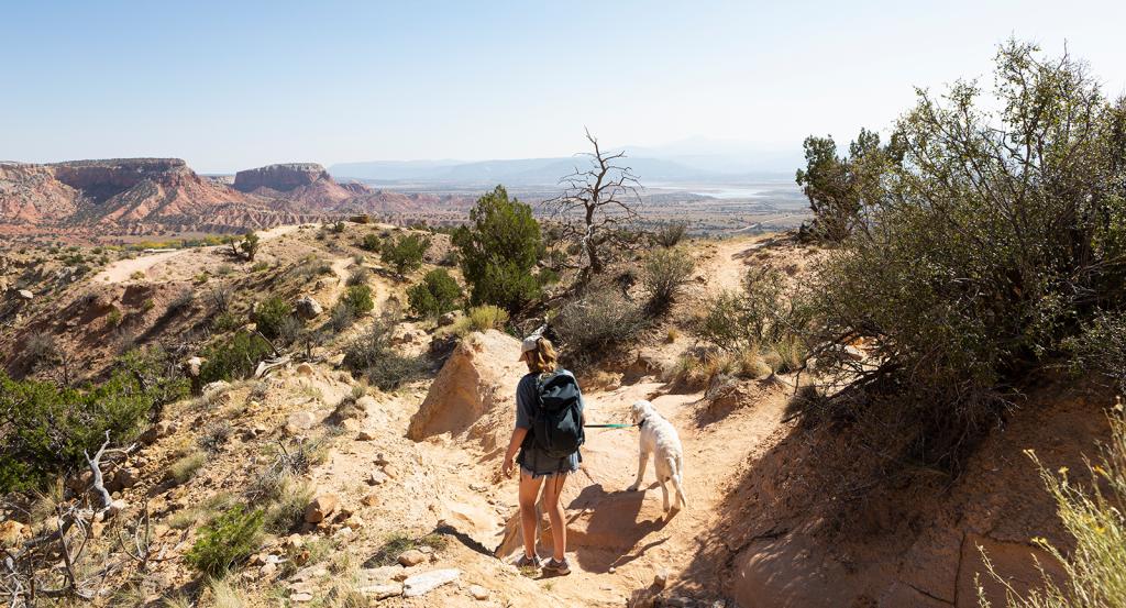 Woman walking her dog near pet-friendly hotels in Sedona AZ